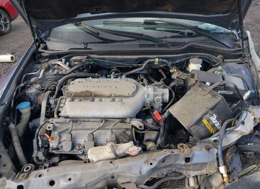 Photo 10 of 2007 Honda Accord 3.0 EX (VIN 1HGCM66517A075917)