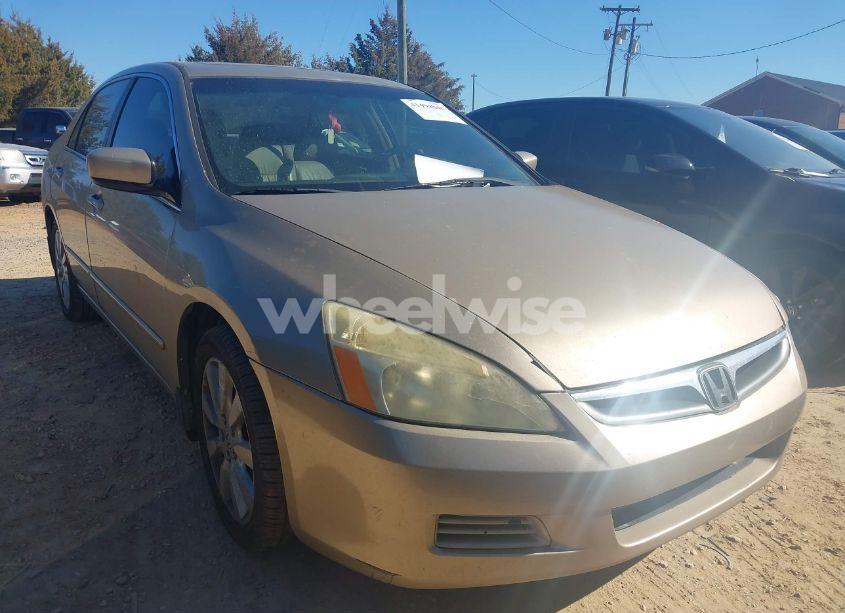 2007 Honda Accord 3.0 EX (VIN 1HGCM66517A084939) main photo