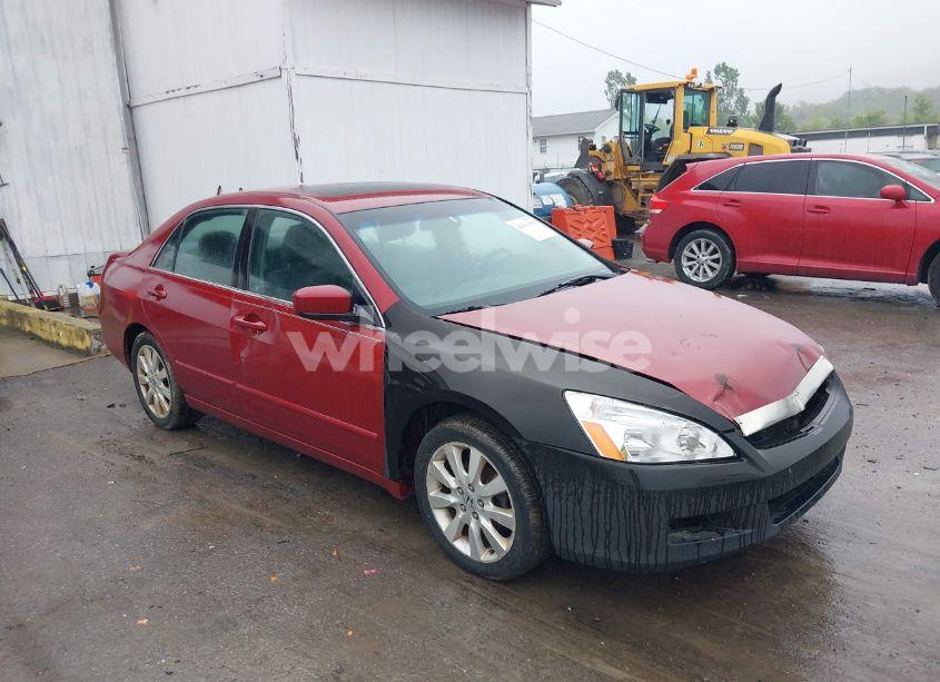 2007 Honda Accord 3.0 EX (VIN 1HGCM66517A094631) main photo