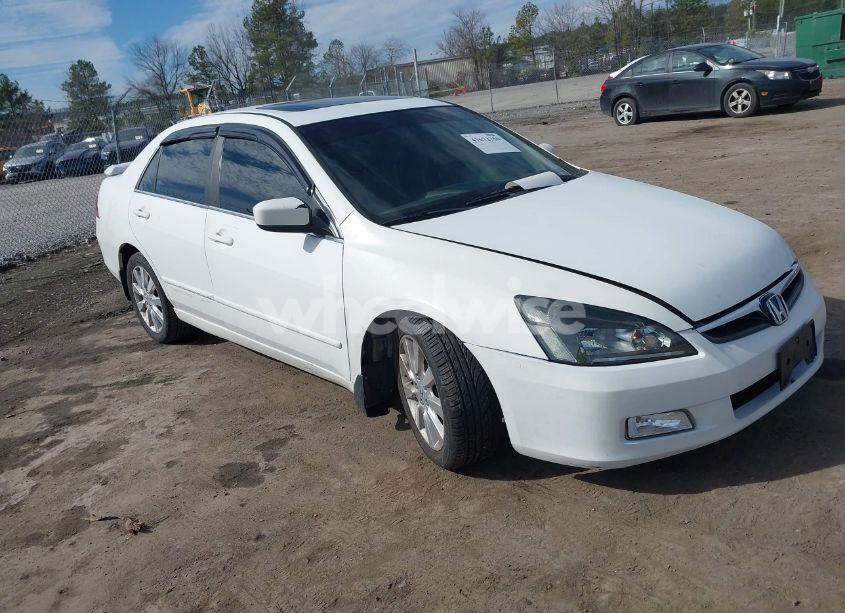 2007 Honda Accord 3.0 EX (VIN 1HGCM66517A101089) main photo