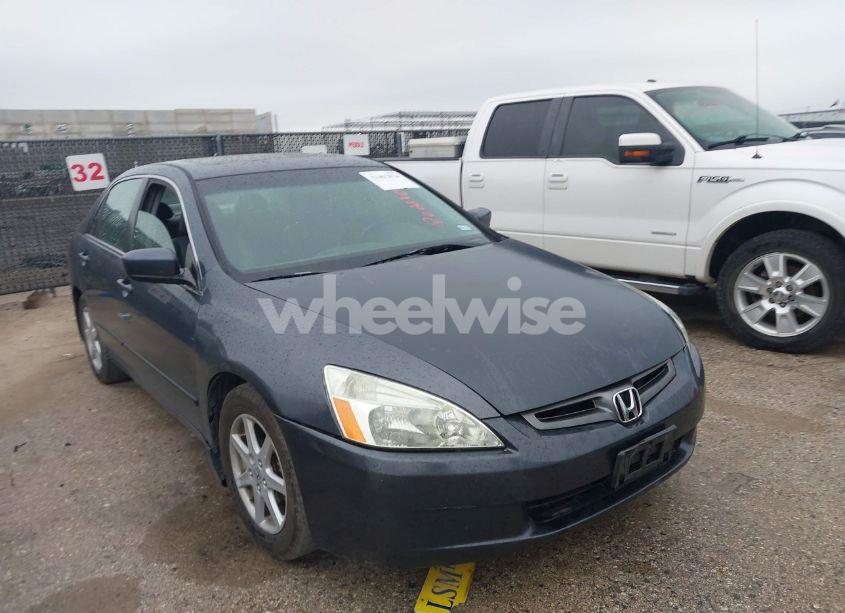 2003 Honda Accord 3.0 EX (VIN 1HGCM66523A051717) main photo