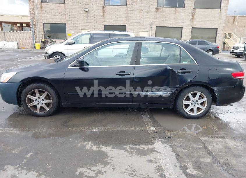 Photo 14 of 2004 Honda Accord 3.0 EX (VIN 1HGCM66524A054196)