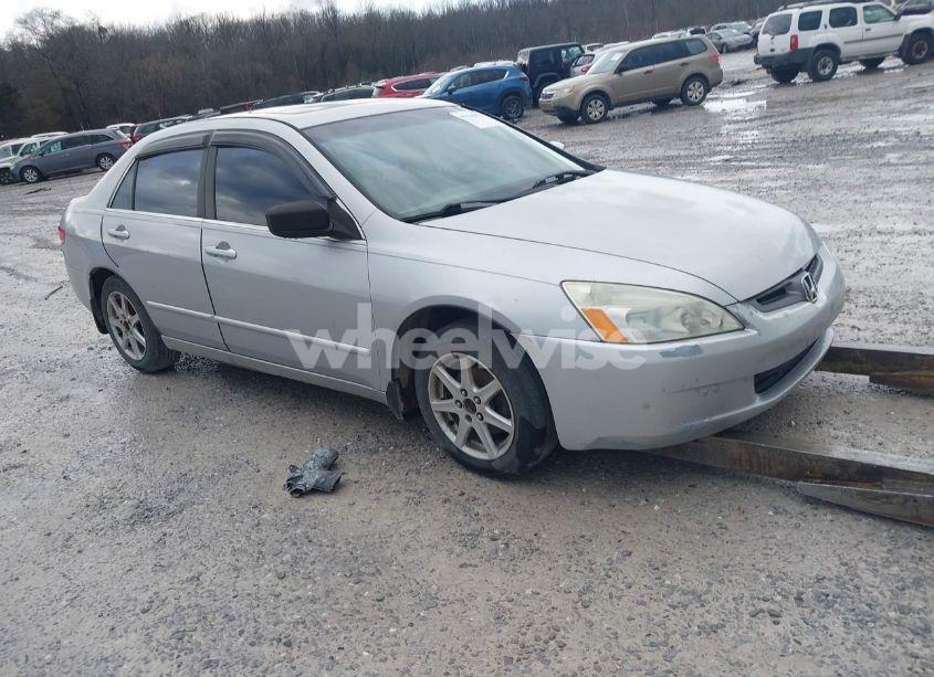 2004 Honda Accord 3.0 EX (VIN 1HGCM66524A054487) main photo