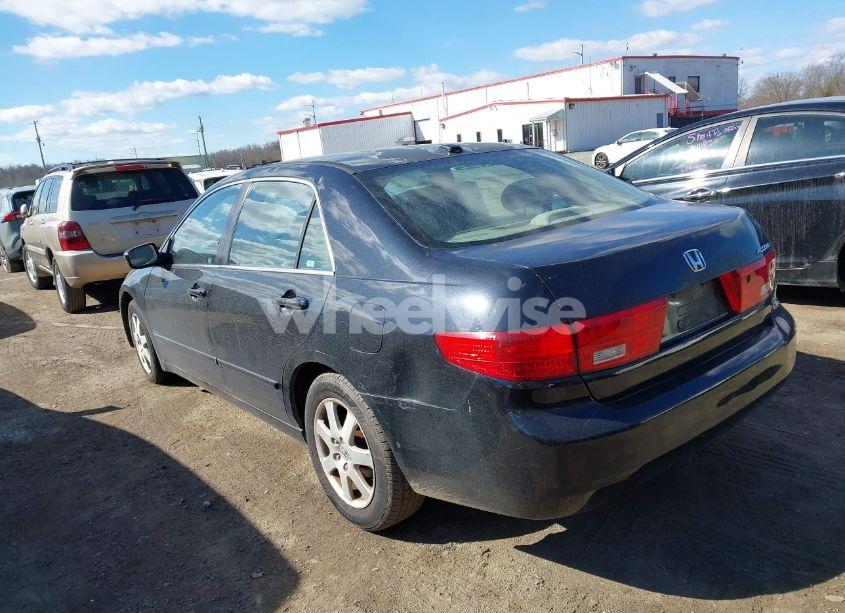 Photo 3 of 2005 Honda Accord 3.0 EX (VIN 1HGCM66525A033057)