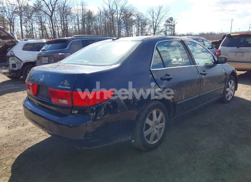 Photo 4 of 2005 Honda Accord 3.0 EX (VIN 1HGCM66525A033057)