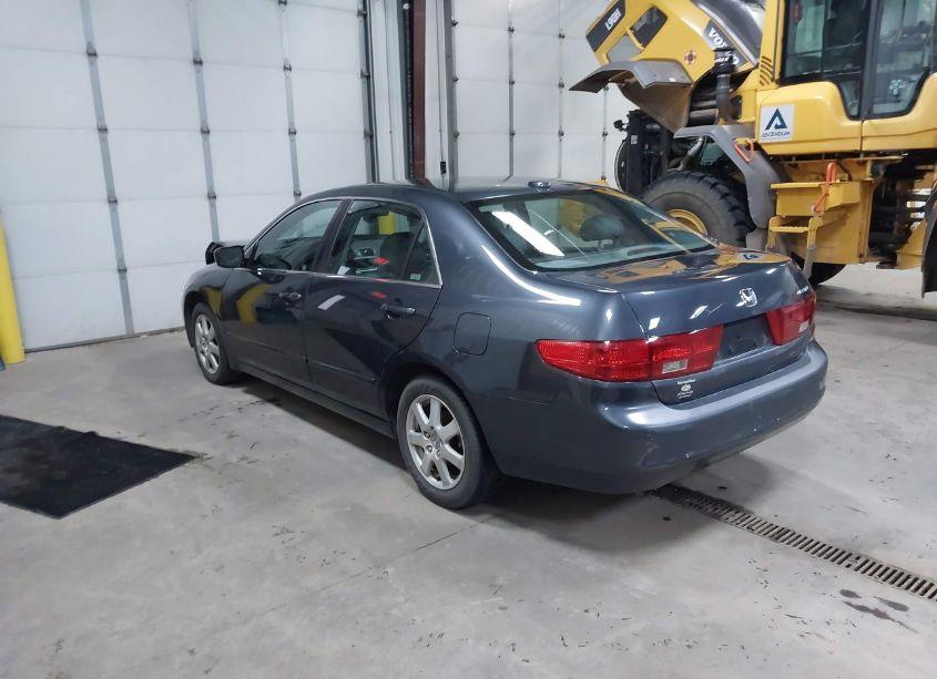 Photo 3 of 2005 Honda Accord 3.0 EX (VIN 1HGCM66525A036959)