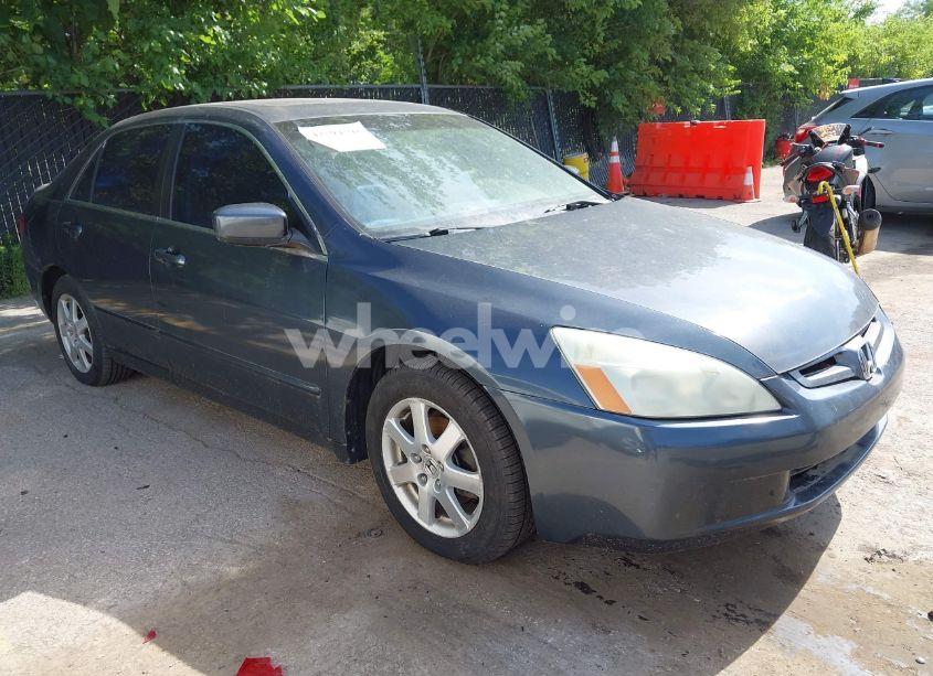 2005 Honda Accord 3.0 EX (VIN 1HGCM66525A038212) main photo