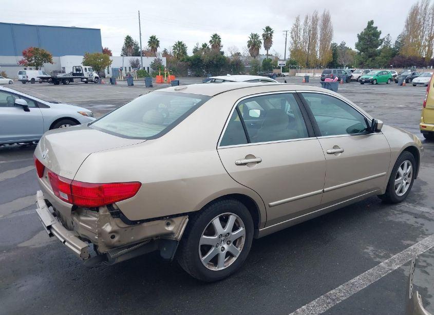 Photo 4 of 2005 Honda Accord 3.0 EX (VIN 1HGCM66525A041305)
