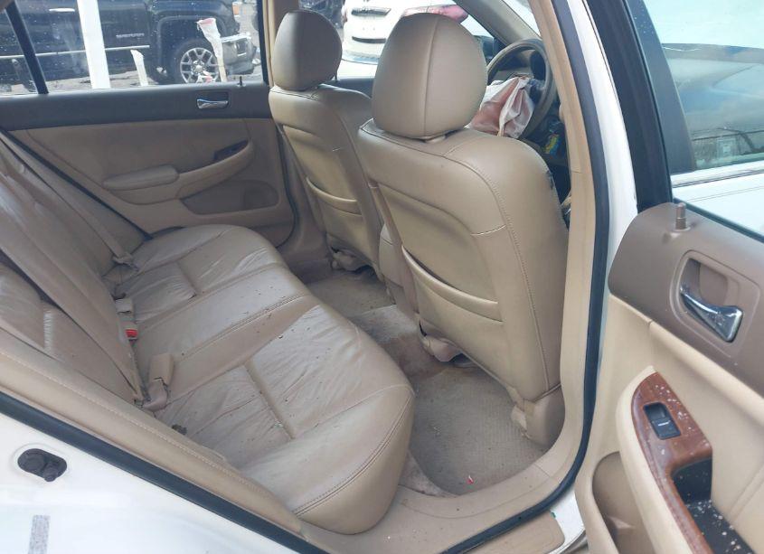 Photo 8 of 2006 Honda Accord 3.0 EX (VIN 1HGCM66526A041645)