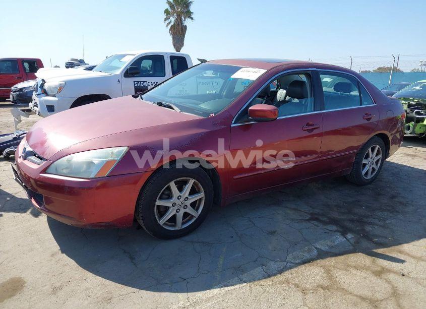 Photo 14 of 2003 Honda Accord 3.0 EX (VIN 1HGCM66533A067778)
