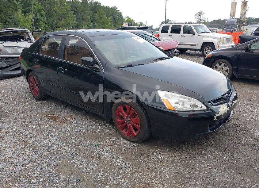 2005 Honda Accord 3.0 EX (VIN 1HGCM66535A009043) main photo