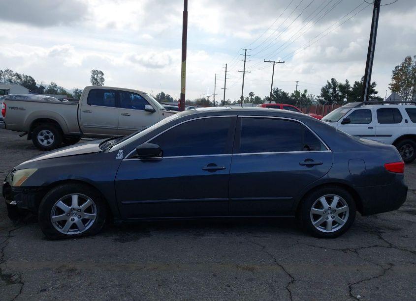 Photo 12 of 2005 Honda Accord 3.0 EX (VIN 1HGCM66535A063197)