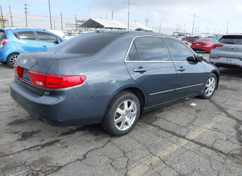 Photo 4 of 2005 Honda Accord 3.0 EX (VIN 1HGCM66535A063197)