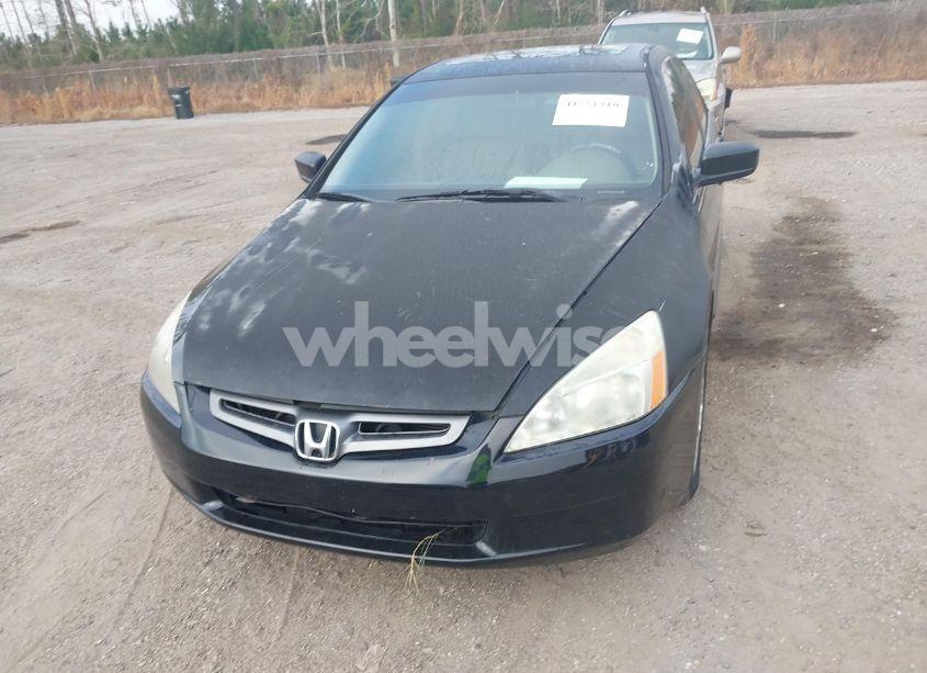 Photo 6 of 2005 Honda Accord 3.0 EX (VIN 1HGCM66535A065421)