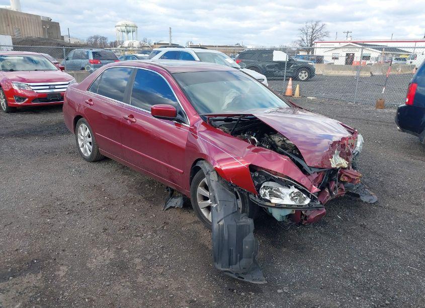 2006 Honda Accord 3.0 EX (VIN 1HGCM66536A025034) main photo