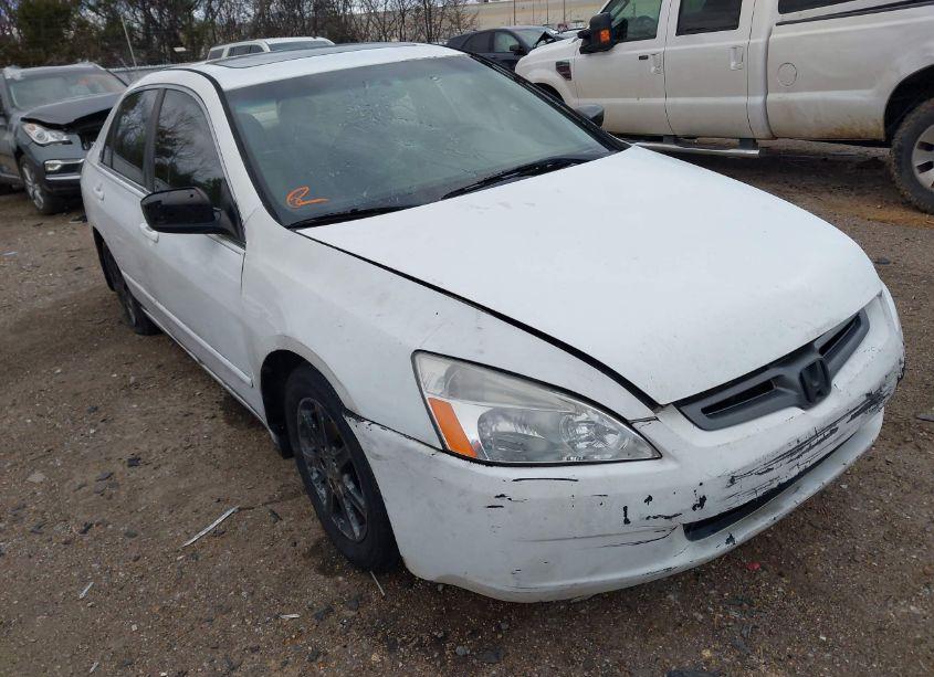 2003 Honda Accord 3.0 EX (VIN 1HGCM66543A016497) main photo