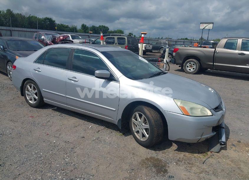 2004 Honda Accord 3.0 EX (VIN 1HGCM66544A002293) main photo