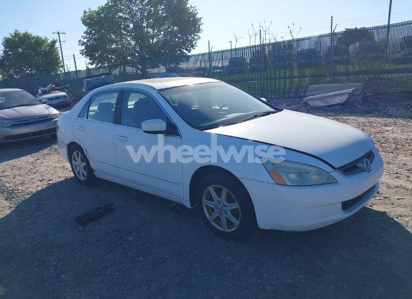 2004 Honda Accord 3.0 EX (VIN 1HGCM66544A028568) main photo
