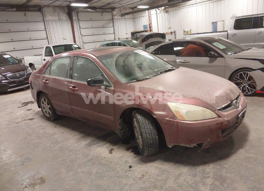 2004 Honda Accord 3.0 EX (VIN 1HGCM66544A047797) main photo