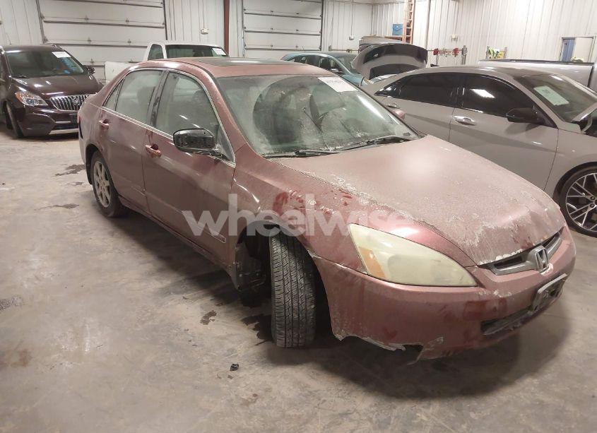 Photo 12 of 2004 Honda Accord 3.0 EX (VIN 1HGCM66544A047797)