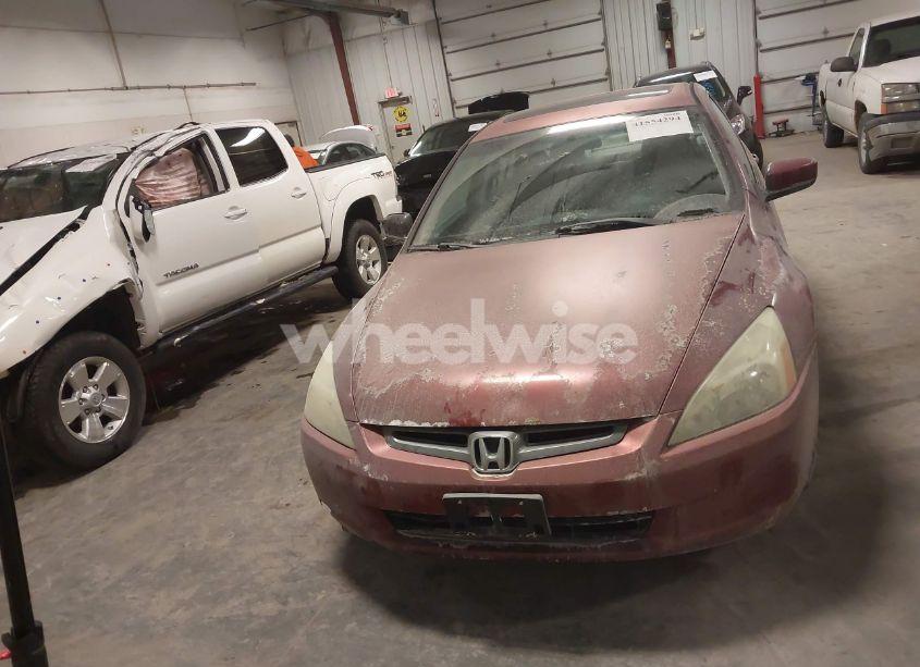 Photo 6 of 2004 Honda Accord 3.0 EX (VIN 1HGCM66544A047797)