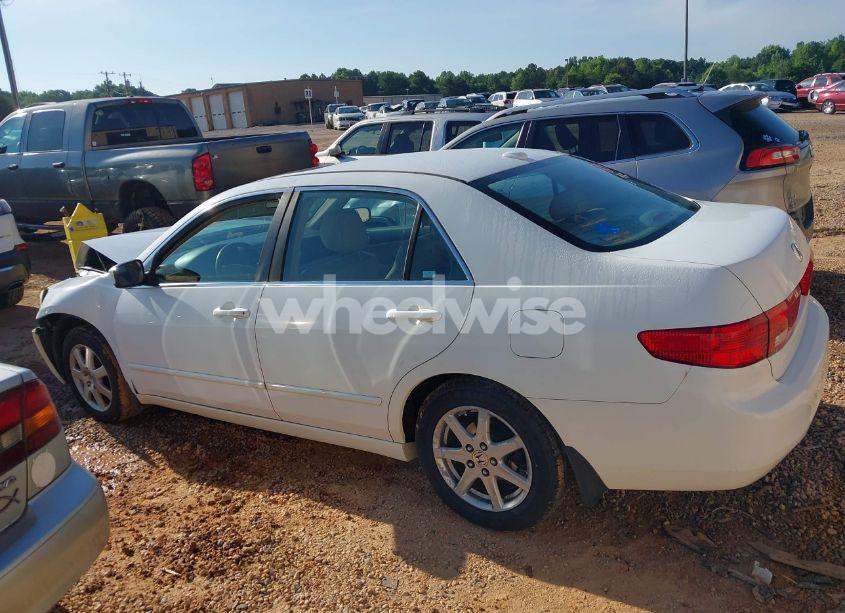 Photo 14 of 2005 Honda Accord 3.0 EX (VIN 1HGCM66545A022156)