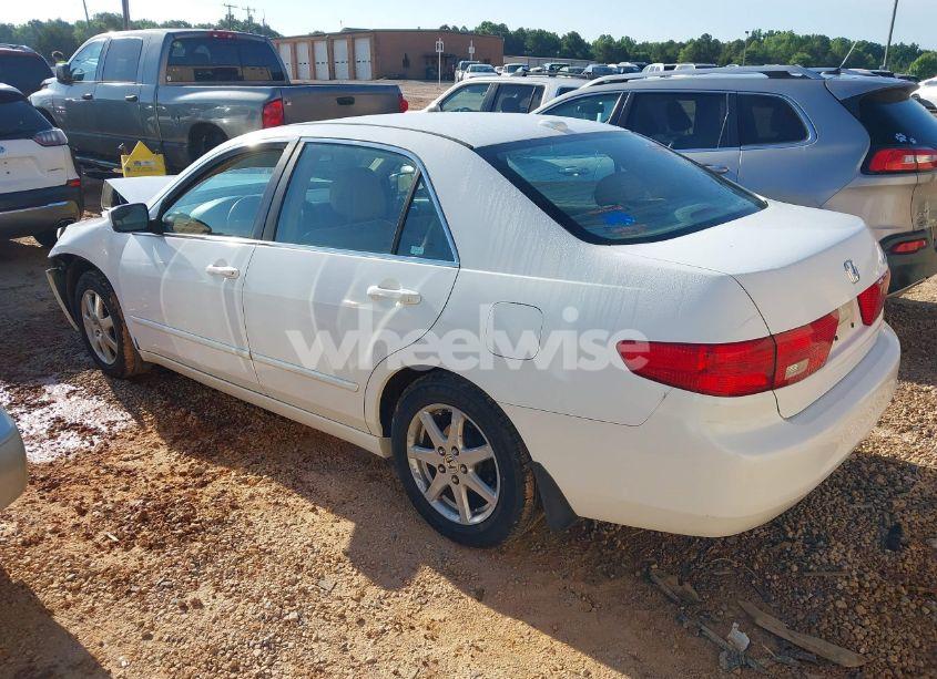 Photo 3 of 2005 Honda Accord 3.0 EX (VIN 1HGCM66545A022156)