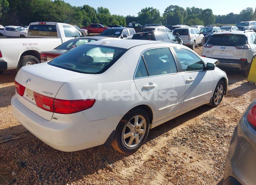 Photo 4 of 2005 Honda Accord 3.0 EX (VIN 1HGCM66545A022156)