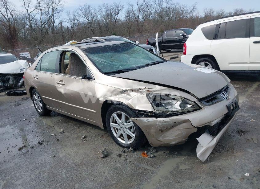 2003 Honda Accord 3.0 EX (VIN 1HGCM66553A086252) main photo