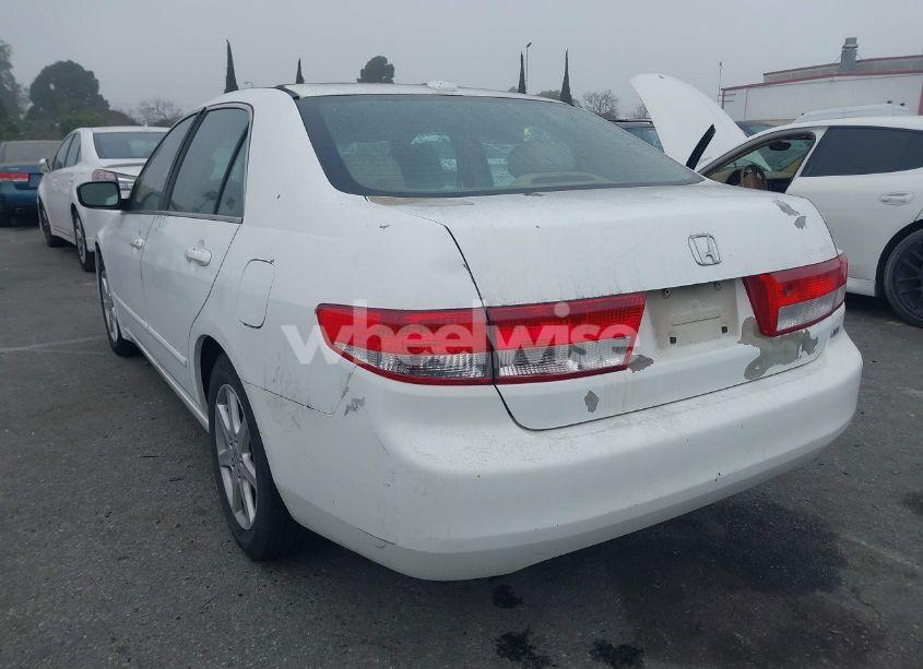 Photo 3 of 2004 Honda Accord 3.0 EX (VIN 1HGCM66554A034380)