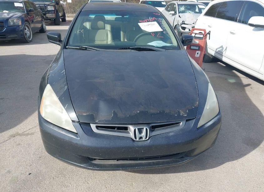 Photo 6 of 2004 Honda Accord 3.0 EX (VIN 1HGCM66554A039546)
