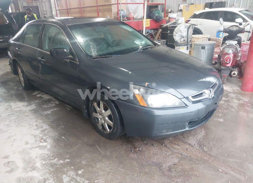 2004 Honda Accord 3.0 EX (VIN 1HGCM66554A052328) main photo