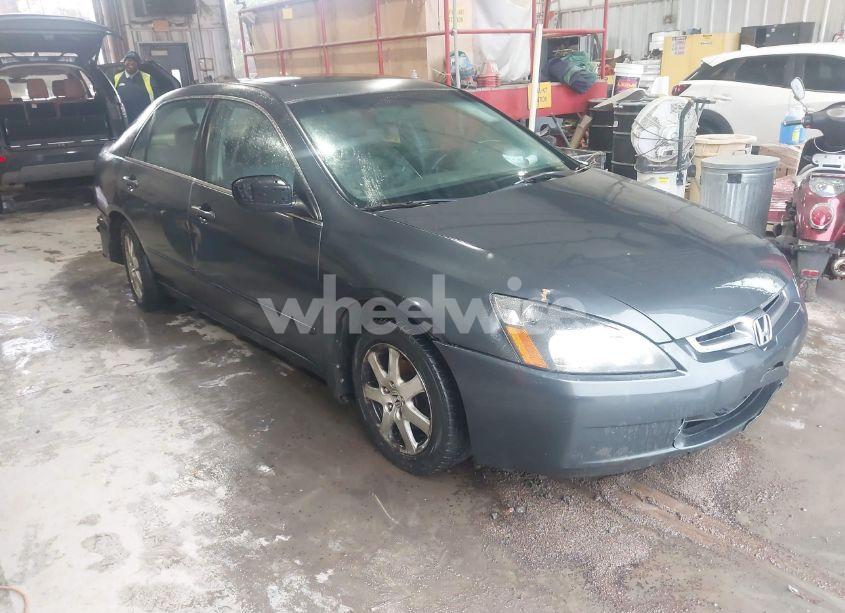 Photo 13 of 2004 Honda Accord 3.0 EX (VIN 1HGCM66554A052328)
