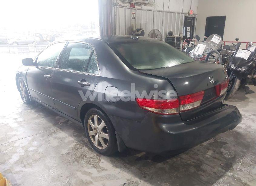 Photo 14 of 2004 Honda Accord 3.0 EX (VIN 1HGCM66554A052328)