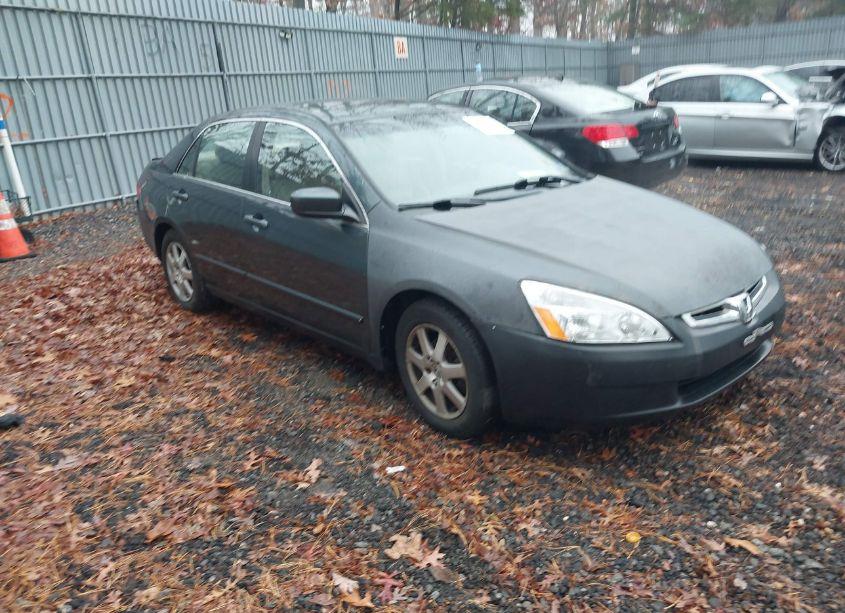 2005 Honda Accord 3.0 EX (VIN 1HGCM66555A002904) main photo