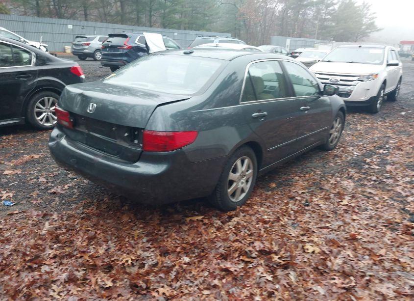 Photo 4 of 2005 Honda Accord 3.0 EX (VIN 1HGCM66555A002904)