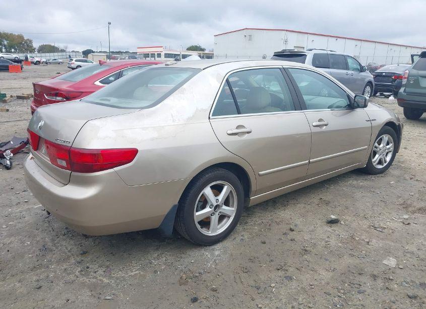 Photo 4 of 2005 Honda Accord 3.0 EX (VIN 1HGCM66555A023767)