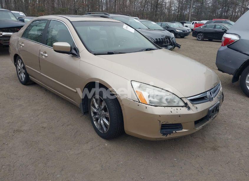 2006 Honda Accord 3.0 EX (VIN 1HGCM66556A029277) main photo