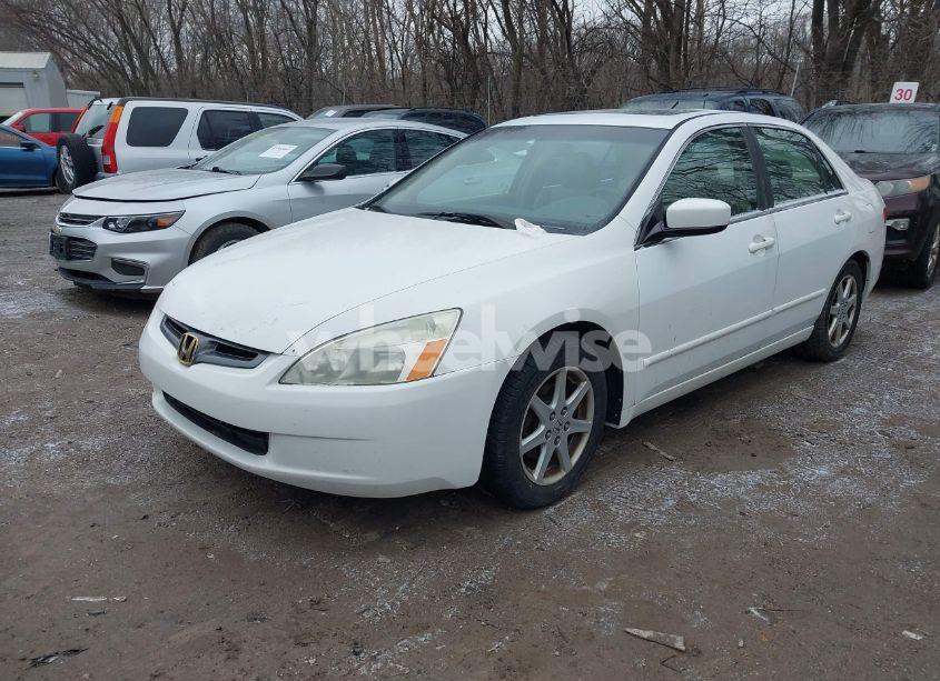 Photo 2 of 2004 Honda Accord 3.0 EX (VIN 1HGCM66564A016907)