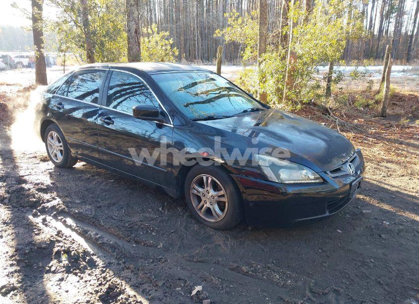 2004 Honda Accord 3.0 EX (VIN 1HGCM66564A044092) main photo