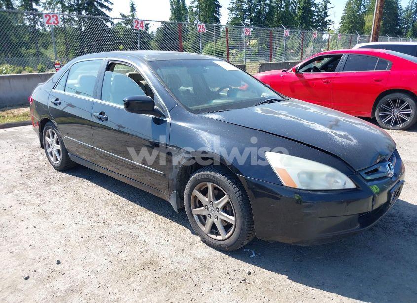 2004 Honda Accord 3.0 EX (VIN 1HGCM66564A081840) main photo