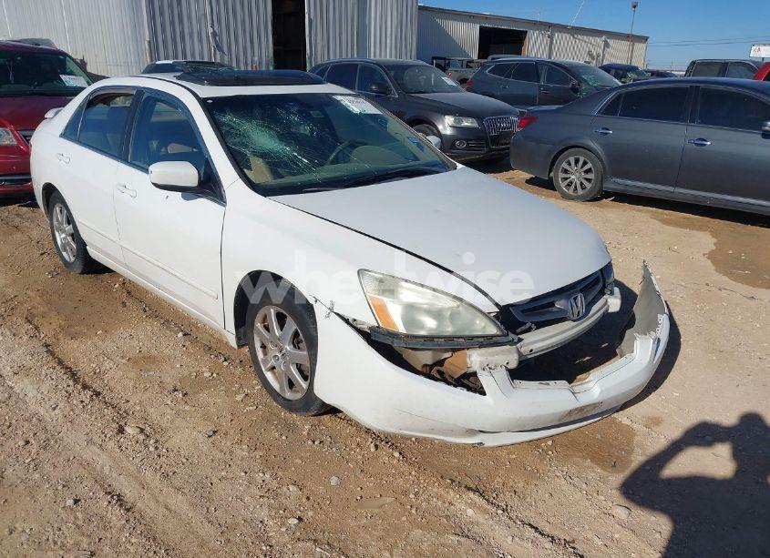 2005 Honda Accord 3.0 EX (VIN 1HGCM66565A000515) main photo