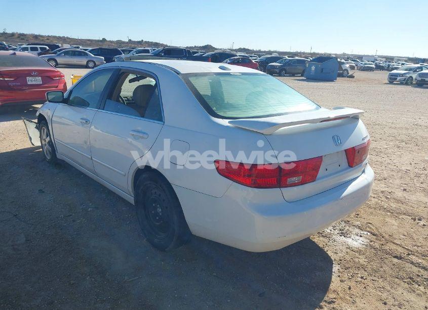 Photo 3 of 2005 Honda Accord 3.0 EX (VIN 1HGCM66565A000515)