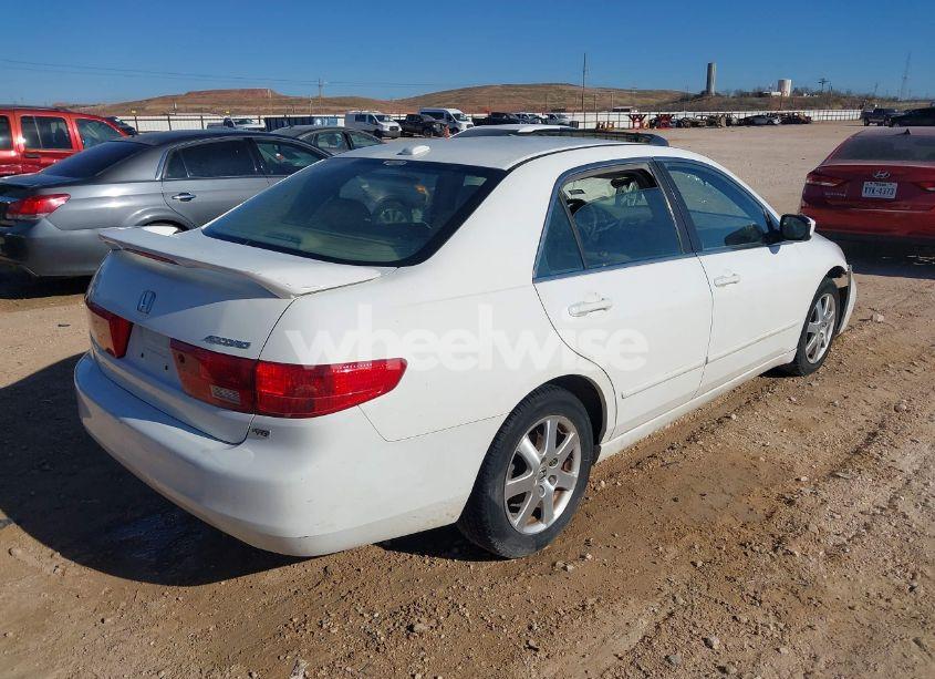 Photo 4 of 2005 Honda Accord 3.0 EX (VIN 1HGCM66565A000515)