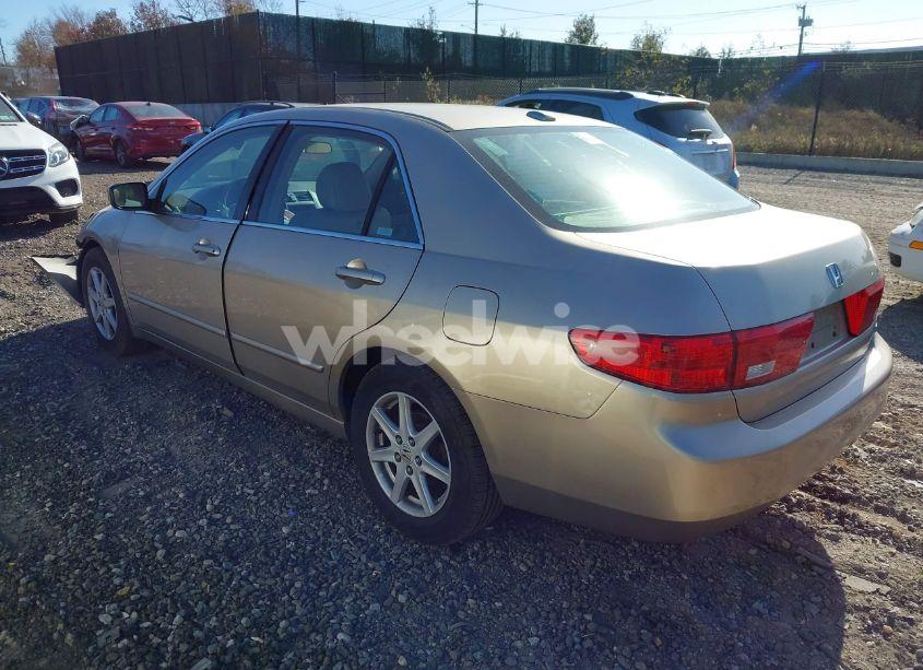 Photo 3 of 2005 Honda Accord 3.0 EX (VIN 1HGCM66565A031344)