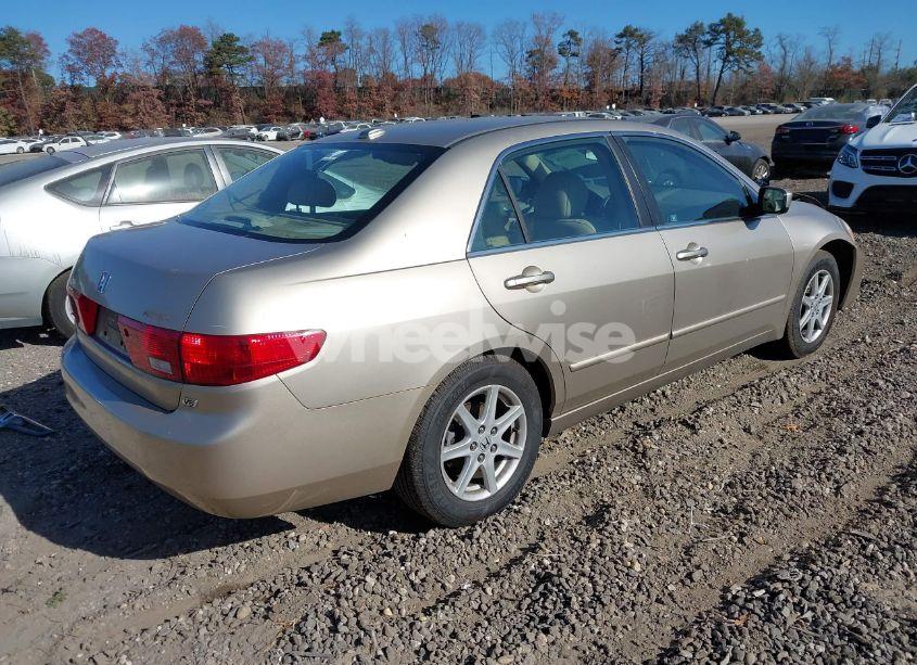 Photo 4 of 2005 Honda Accord 3.0 EX (VIN 1HGCM66565A031344)