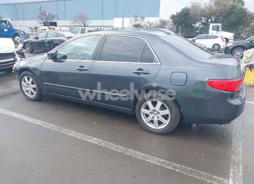 Photo 3 of 2005 Honda Accord 3.0 EX (VIN 1HGCM66565A045096)