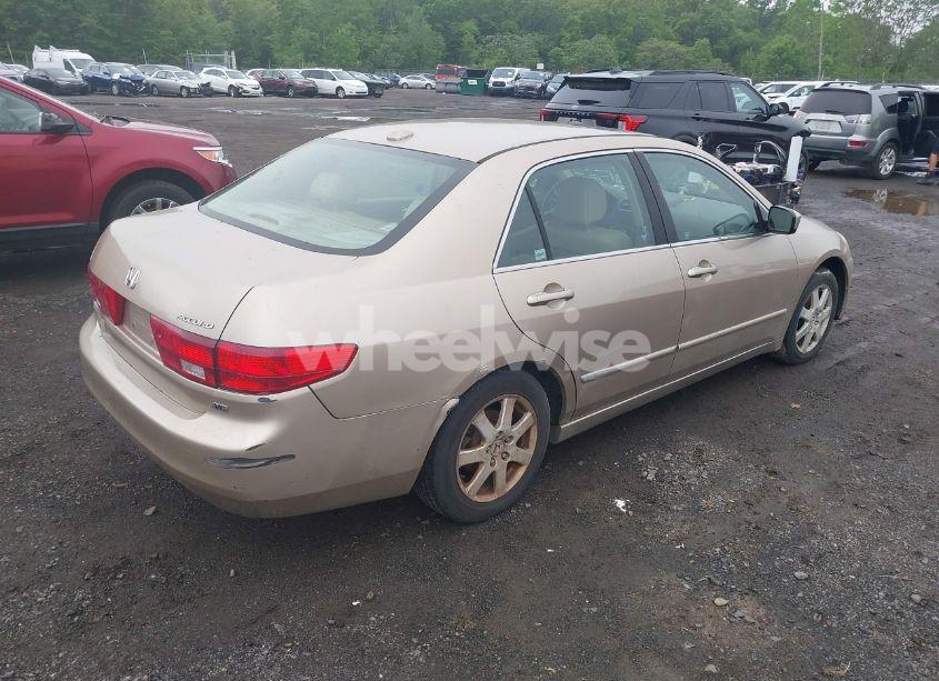 Photo 4 of 2005 Honda Accord 3.0 EX (VIN 1HGCM66565A056566)