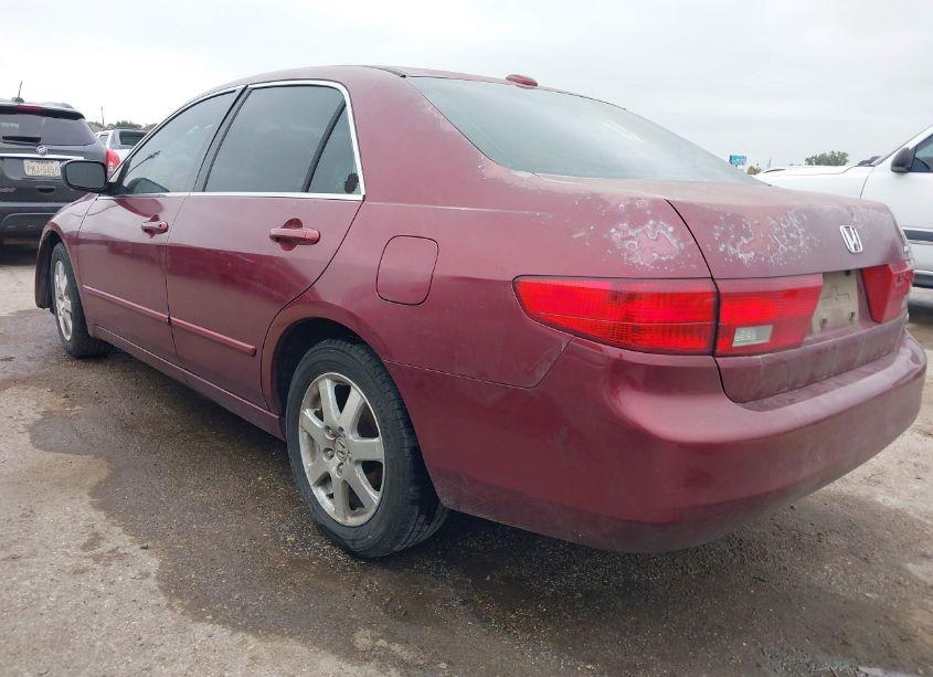 Photo 3 of 2005 Honda Accord 3.0 EX (VIN 1HGCM66565A057314)