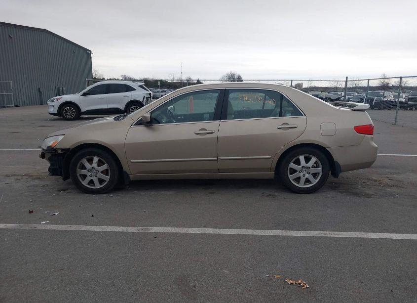 Photo 14 of 2005 Honda Accord 3.0 EX (VIN 1HGCM66565A080138)